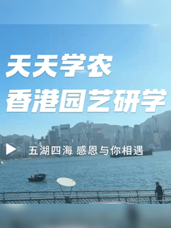 与香港园艺学会联合举办香港园艺研学，专业园境师带队讲解。