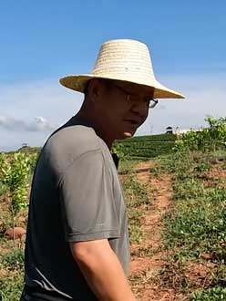 农业人叶涛，50多岁通讯人跨界搞农业，他要用1000万打造一个梦。